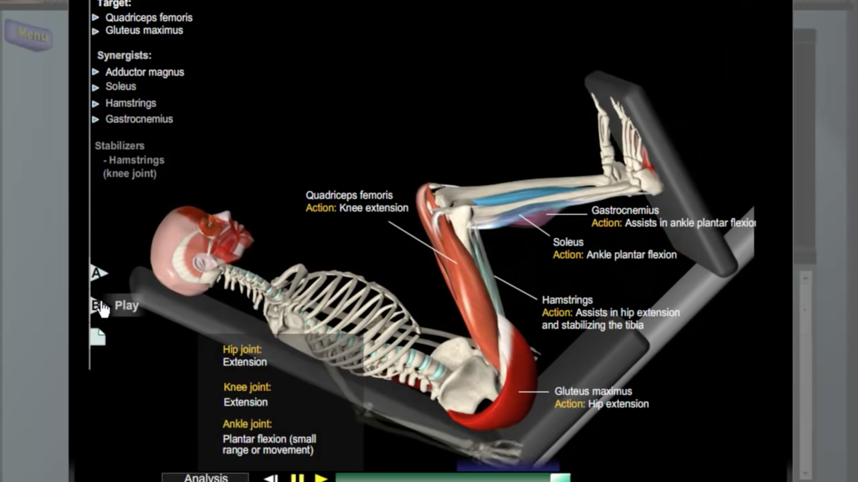 Learn anatomy. Биомеханика силовых упражнений. Биомеханика базовых упражнений. Стабилизация в биомеханика. Биомеханика в велоспорте.