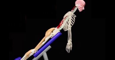 Anatomía de la espina dorsal, análisis de ejercicios (video con animación)