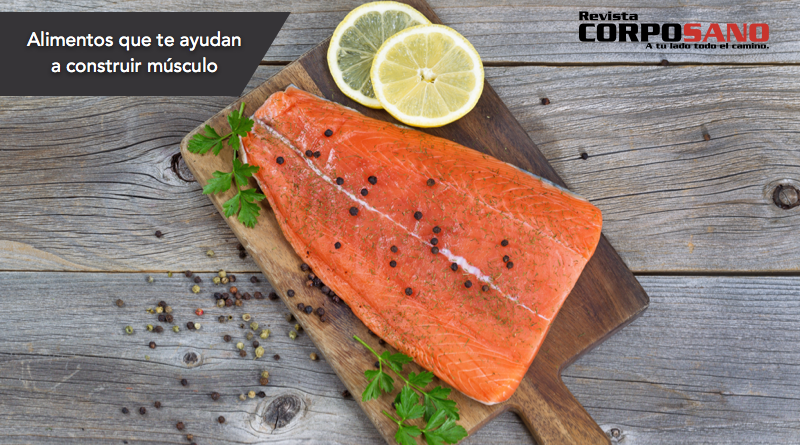 omega 3 para construir musculo