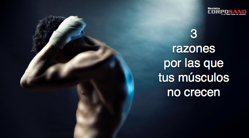 musculos no crecen