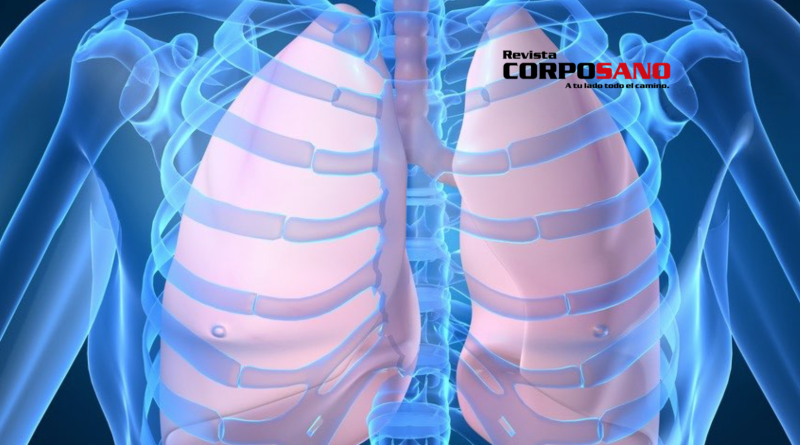 10 cosas que no sabías de los pulmones