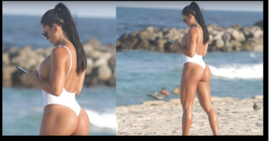 Los secretos de Michelle Lewin