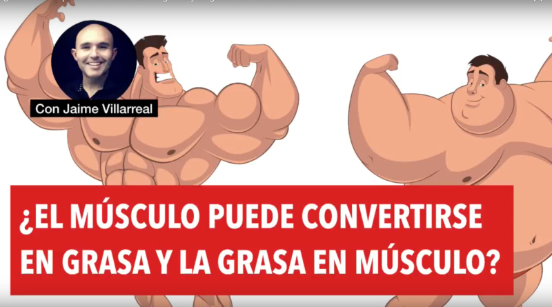 ¿El músculo puede convertirse en grasa y la grasa en músculo? (video)