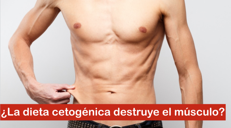 ¿la Dieta Cetogénica Destruye El Músculo Revista Corposanoemk 3067
