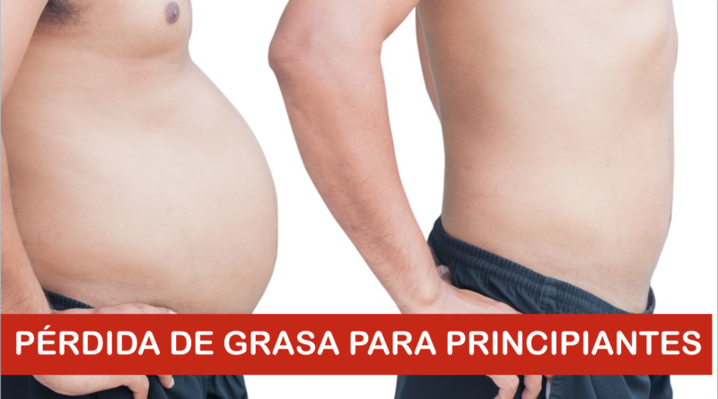 Pérdida de grasa para principiantes