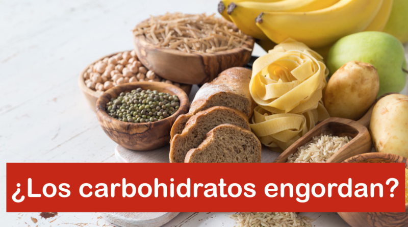 ¿Los carbohidratos engordan?