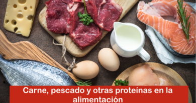 Carne, pescado y otras proteínas en la alimentación