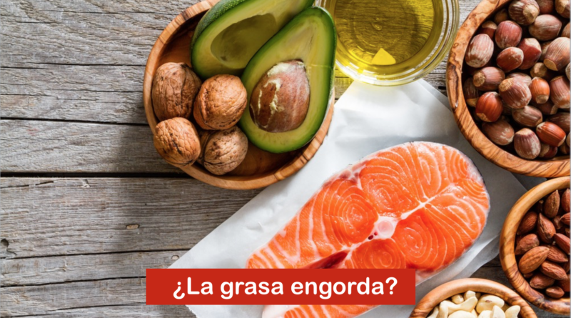 ¿La grasa engorda?