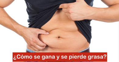 ¿Cómo se gana y se pierde grasa?