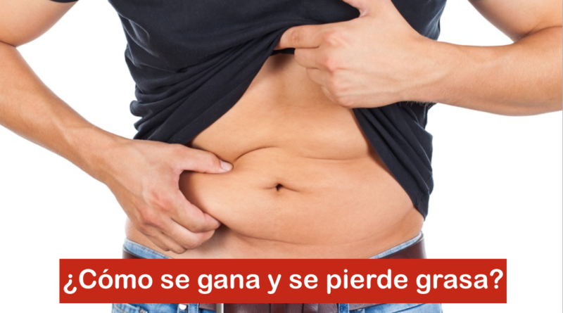 ¿Cómo se gana y se pierde grasa?