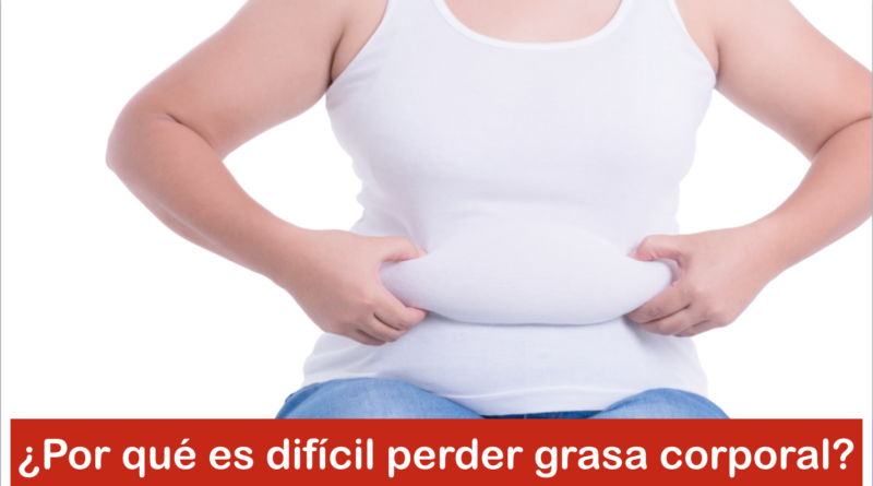 ¿Por qué es difícil perder grasa corporal?