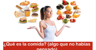 ¿Qué es la comida?