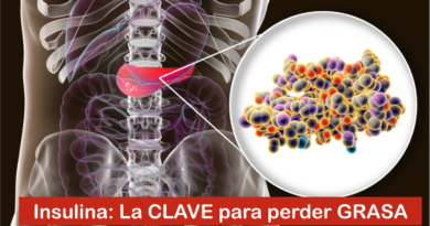 Insulina: La CLAVE para perder GRASA