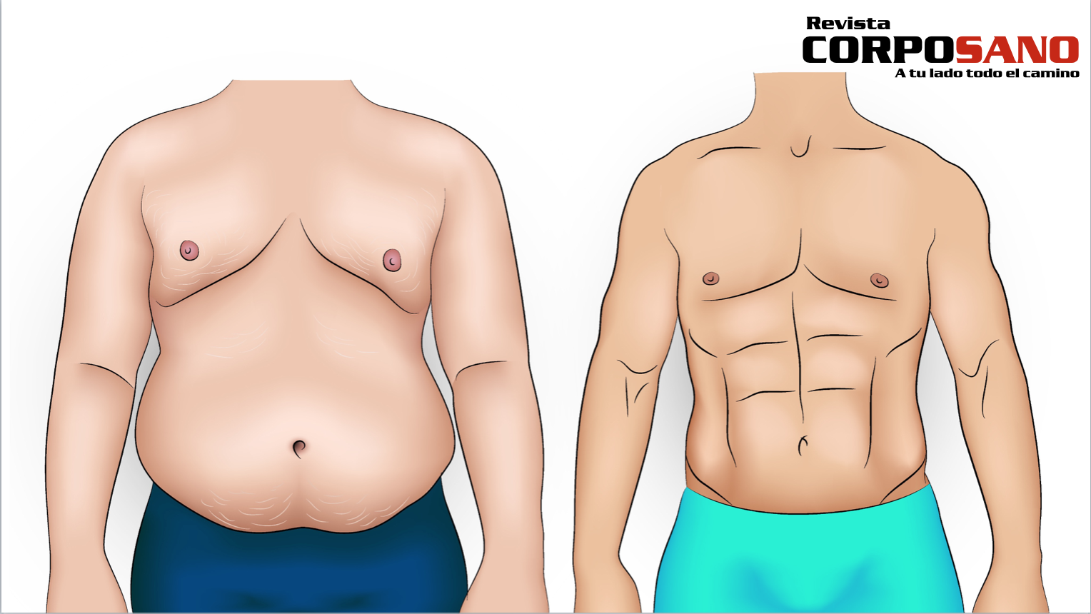 Reducir grasa abdominal hombre